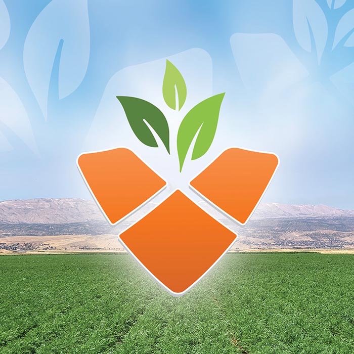 The brand identity for Fresh Products.